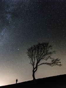 Preview wallpaper tree, people, silhouettes, slope, starry sky, night
