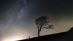 Preview wallpaper tree, people, silhouettes, slope, starry sky, night