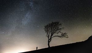 Preview wallpaper tree, people, silhouettes, slope, starry sky, night
