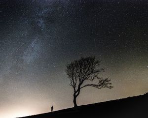 Preview wallpaper tree, people, silhouettes, slope, starry sky, night