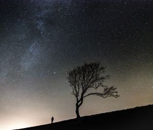 Preview wallpaper tree, people, silhouettes, slope, starry sky, night