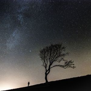 Preview wallpaper tree, people, silhouettes, slope, starry sky, night