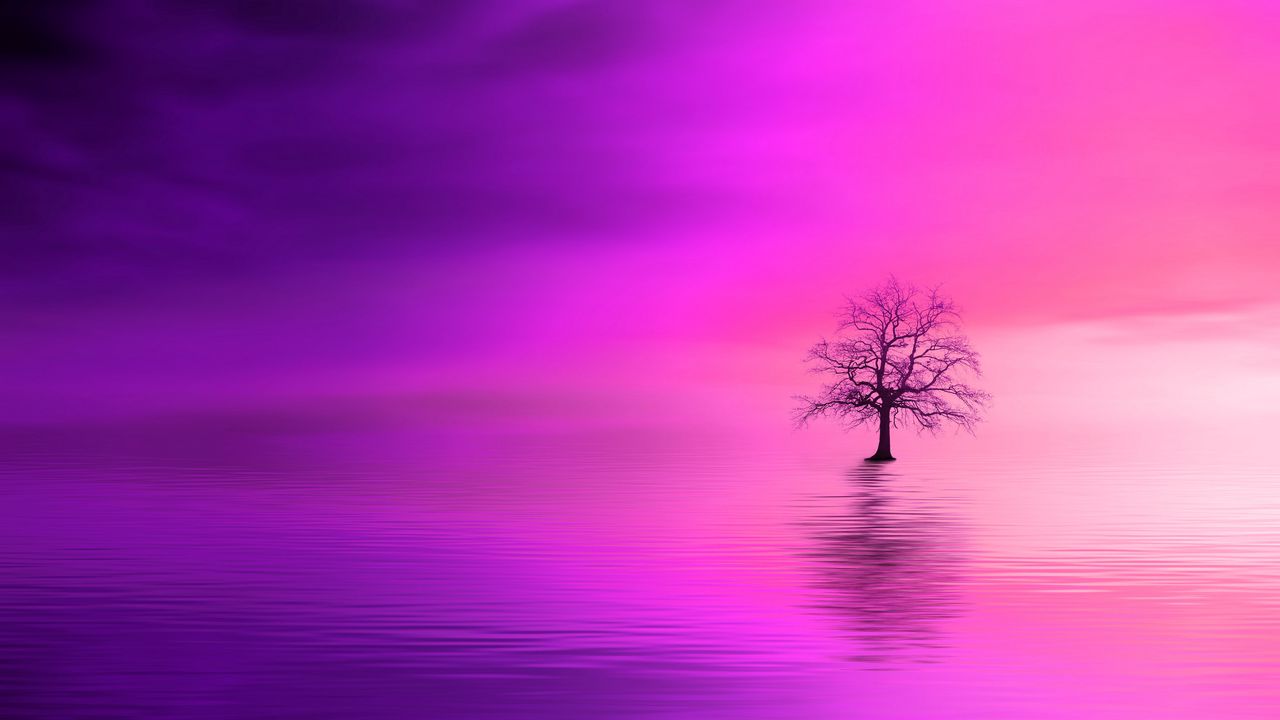 Wallpaper tree, pink, horizon, lonely