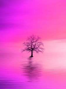 Preview wallpaper tree, pink, horizon, lonely