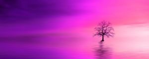 Preview wallpaper tree, pink, horizon, lonely