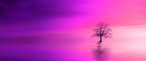 Preview wallpaper tree, pink, horizon, lonely