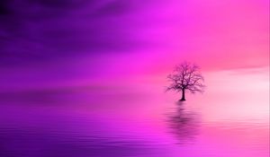 Preview wallpaper tree, pink, horizon, lonely