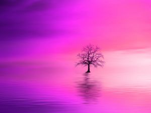 Preview wallpaper tree, pink, horizon, lonely