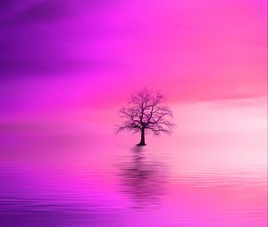 Preview wallpaper tree, pink, horizon, lonely