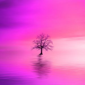 Preview wallpaper tree, pink, horizon, lonely
