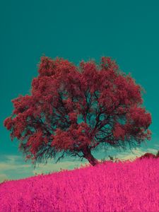 Preview wallpaper tree, pink, photoshop, grass, lonely