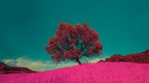 Preview wallpaper tree, pink, photoshop, grass, lonely