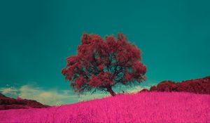 Preview wallpaper tree, pink, photoshop, grass, lonely