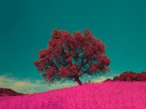 Preview wallpaper tree, pink, photoshop, grass, lonely