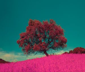 Preview wallpaper tree, pink, photoshop, grass, lonely