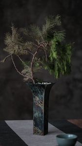 Preview wallpaper tree, plant, vase, decor