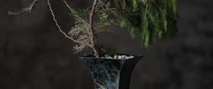 Preview wallpaper tree, plant, vase, decor