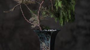 Preview wallpaper tree, plant, vase, decor