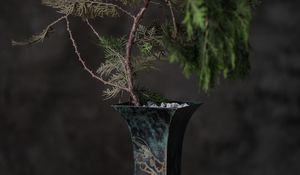 Preview wallpaper tree, plant, vase, decor