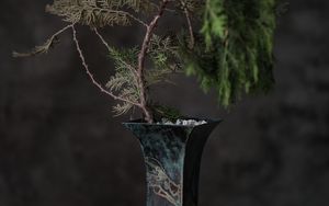 Preview wallpaper tree, plant, vase, decor