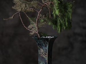 Preview wallpaper tree, plant, vase, decor