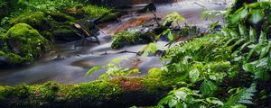 Preview wallpaper tree, plants, stream, nature, landscape
