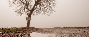Preview wallpaper tree, puddle, fog, reflection, wet