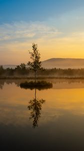 Preview wallpaper tree, reflection, hill, fog