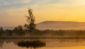 Preview wallpaper tree, reflection, hill, fog