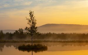 Preview wallpaper tree, reflection, hill, fog