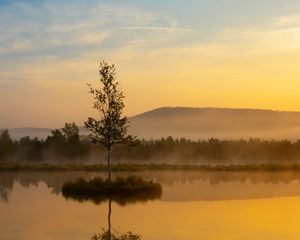 Preview wallpaper tree, reflection, hill, fog