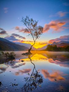 Preview wallpaper tree, reflection, lake, nature, mountains