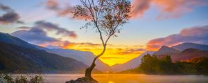 Preview wallpaper tree, reflection, lake, nature, mountains