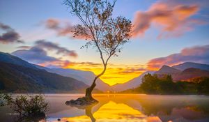 Preview wallpaper tree, reflection, lake, nature, mountains