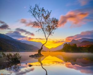 Preview wallpaper tree, reflection, lake, nature, mountains