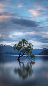 Preview wallpaper tree, reflection, lake, mountains, clouds