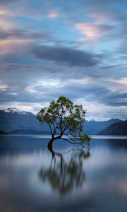 Preview wallpaper tree, reflection, lake, mountains, clouds