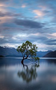 Preview wallpaper tree, reflection, lake, mountains, clouds