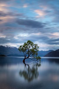 Preview wallpaper tree, reflection, lake, mountains, clouds