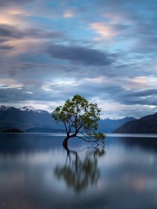 Preview wallpaper tree, reflection, lake, mountains, clouds