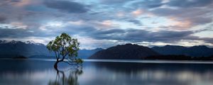 Preview wallpaper tree, reflection, lake, mountains, clouds