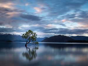 Preview wallpaper tree, reflection, lake, mountains, clouds