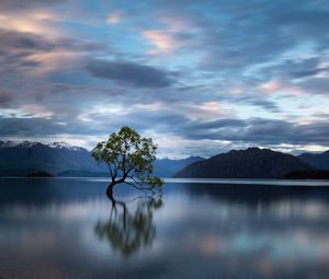 Preview wallpaper tree, reflection, lake, mountains, clouds