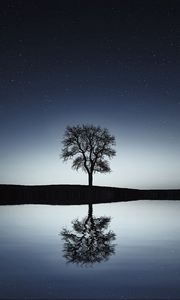 Preview wallpaper tree, reflection, water, night