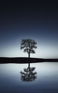 Preview wallpaper tree, reflection, water, night