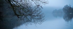 Preview wallpaper tree, river, branches, fog, landscape, nature, blue