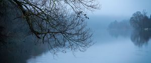 Preview wallpaper tree, river, branches, fog, landscape, nature, blue