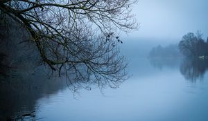 Preview wallpaper tree, river, branches, fog, landscape, nature, blue