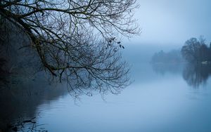 Preview wallpaper tree, river, branches, fog, landscape, nature, blue