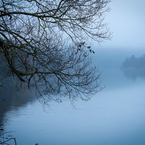 Preview wallpaper tree, river, branches, fog, landscape, nature, blue